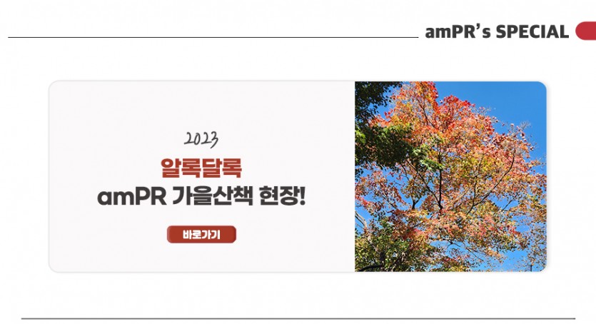 amPR 블로그